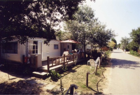 wmh06.jpg